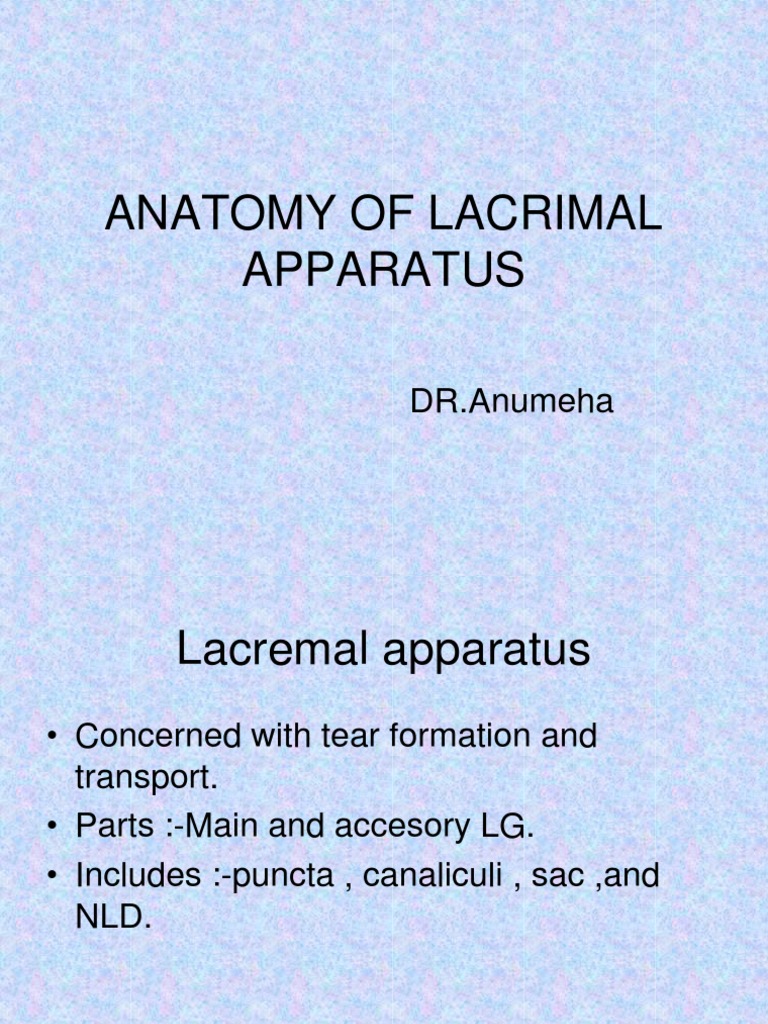Anatomy of Lacrimal Apparatus | PDF | Primate Anatomy | Organ (Anatomy)