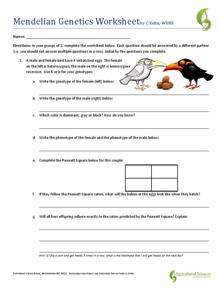 Mendelian Genetics Worksheet  Genotype  Dominance (Genetics) Throughout Genetics Worksheet Answers Key