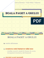 Boala Paget