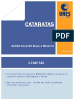 Cataratas: causas, tipos y tratamiento