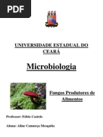 MICROBIOLOGIA - FUNGOS E OS ALIMENTOS.docx