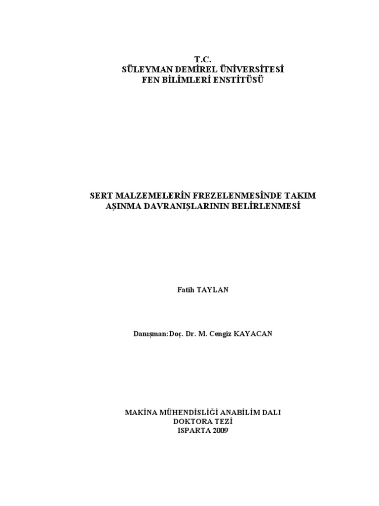 Tez PDF