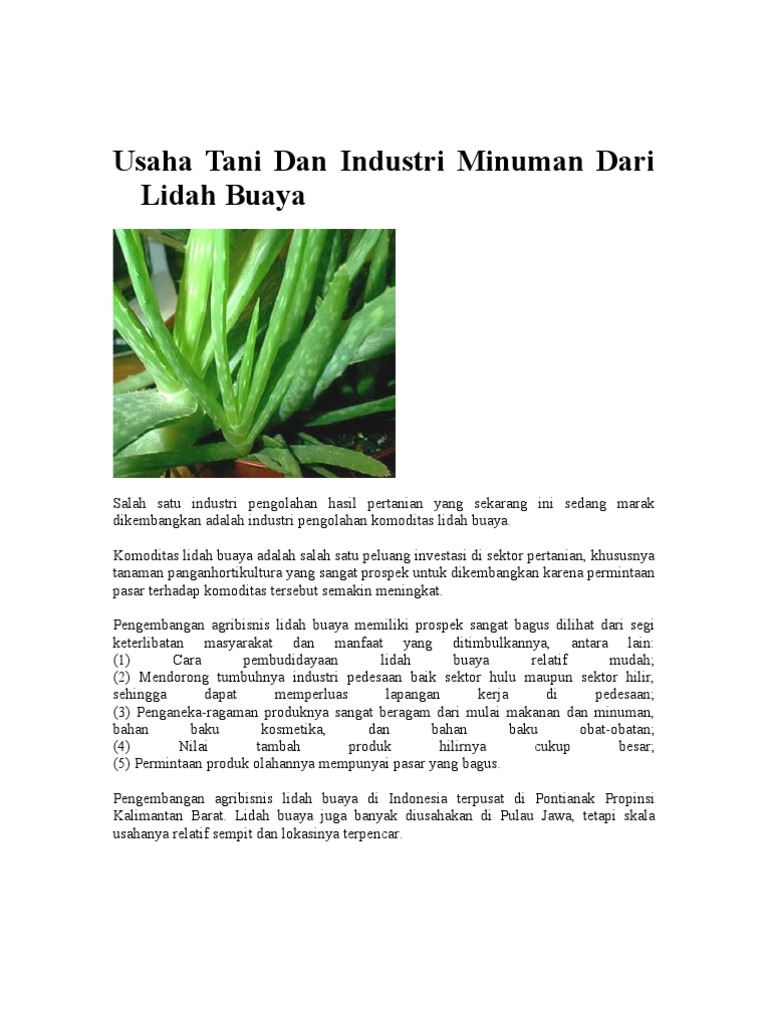 Contoh Teks Laporan Hasil Observasi Tentang Tumbuhan Lidah