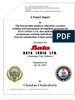 project report on bata shoes pdf
