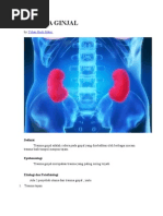 Download 129274221-Trauma-Ginjalpdf by Taufik Tias SN130370075 doc pdf