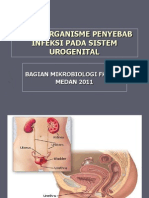 Mikroorganisme Penyebab Urogenitalia