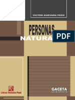 Personas Naturales - Victor Guevara Pezo ()