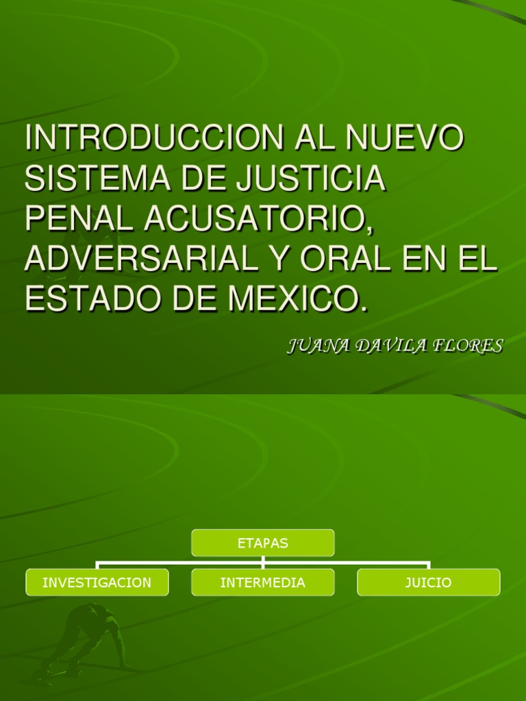 Introducción al Sistema de Justicia Penal | PDF | Derecho