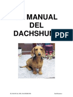 Guía completa sobre el Dachshund