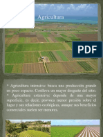 Agricultura Intensiva