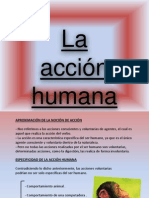 Accion Humana