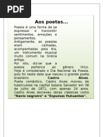 Aos Poetas