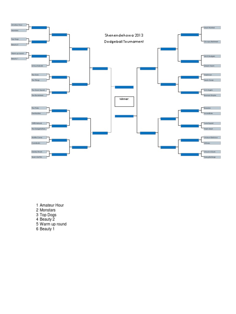 Shenendehowa Dodgeball Bracket 2013 PDF
