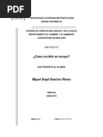 Cómo escribir un ensayo