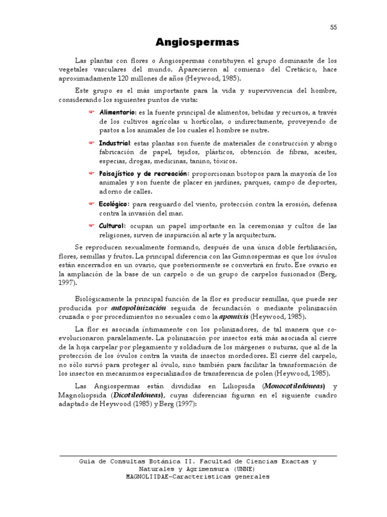 Características de Magnoliidae | PDF | Raíz | Flores