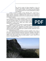 Informe Salida de Campo de Geología Ambiental