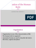 Lab 1 - Organisation of The Human Body