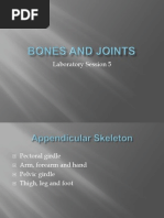 Lab 5 - Bones & Joints