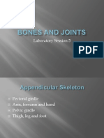 Lab Session 5 Bones and Joints Identification