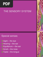 Lab 7 - Sensory System