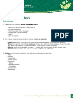 Cambios de Estado PDF