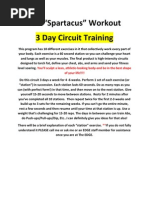 The "Spartacus" Workout 3 Day Circuit Training