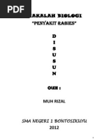 Daftar Makalah Virus Rabies | Kumpulan Laporan Keuangan Fiskal