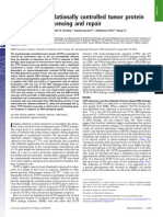 Role of the Translationally Controlled Tumor Protein