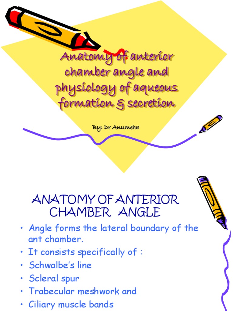 Anatomy Of Anterior Chamber Angle And Physiology Of Pdf Sensory