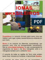 6-anos-biomas-brasileiros power point.ppt