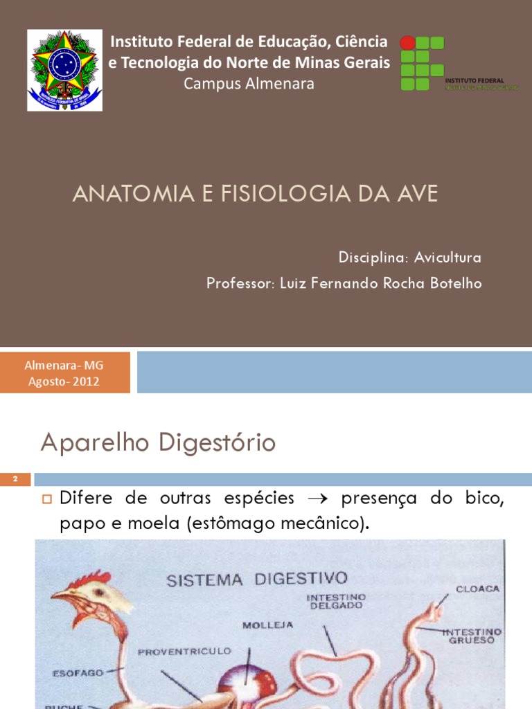 ANVE日本語対策問題集
