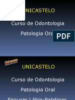 Fissura La Bio Palatal - Patologia Prof. Attilio Lopes -02