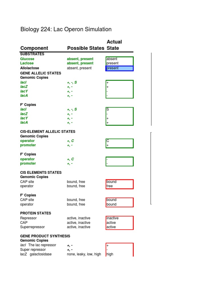 Lac Operon Simulation Overview | PDF