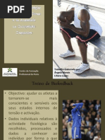 28358175 Tecnicas Controle Do Stress