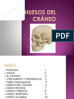 Huesos Del Cráneo