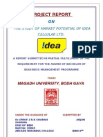 Project Report: The Study of Market Potential of Idea Cellular LTD