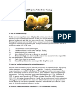 40164762 Model Project on Poultry Broiler Farming