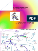Mapa Mental de Glandulas