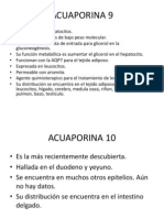 Distribución y funciones de las acuaporinas 9 y 10 en organismos vivos