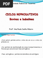 4 - Ciclos reprodutivos 1