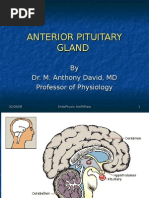 Download Nomad Anterior Pituitary Physiology by DrMAnthony David SN130721 doc pdf