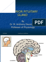 Nomad: Anterior Pituitary Physiology