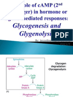 Molecular and Cell Biology