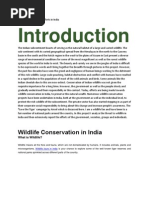 Download Wildlife Conservation Efforts in India by Amanda Price SN130726443 doc pdf
