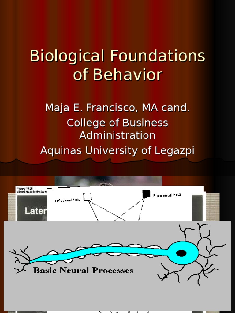 Biological Foundations of Behavior Chemical Synapse Neurotransmitter