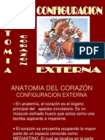 Anatomía del corazón