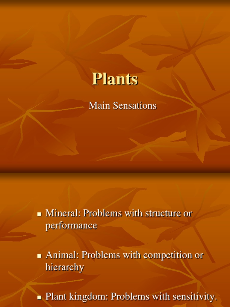 Plants PDF Senses Pain