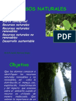 Recursos Naturales 2013