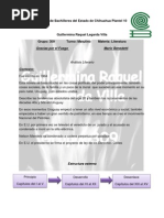 Analisis Gracias Por El Fuego PDF