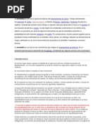 Pintando La Casa | PDF | Rodilla | Pie